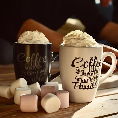 Centre De Le Pont Du Metty *